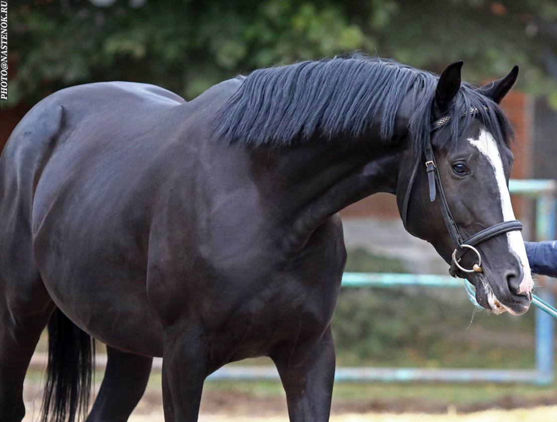 Құмдағы секс