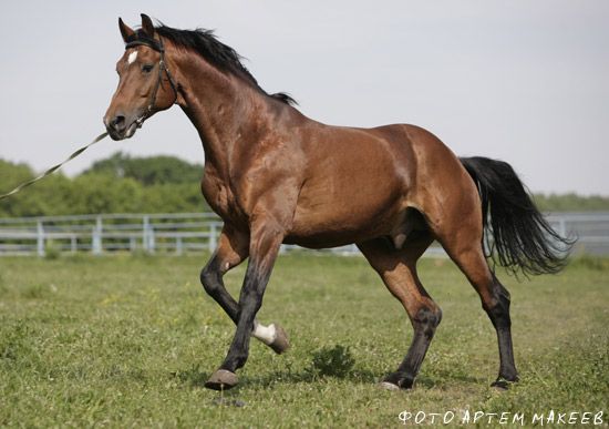 Ануста күтпеген жерден Ануста күтпеген жерден