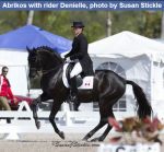 ������� (Gallaway`s Abrikos)