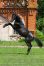 0C0A9039_web.jpg