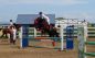 DSC00340.JPG
