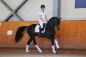 FOYOU-2022-gall.jpg