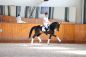 FOYOU-2022-trot.jpg