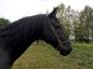 IMG-20180918-WA0002.jpg