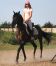 flibustier_trot.jpg